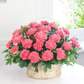 Carnation Nature Basket